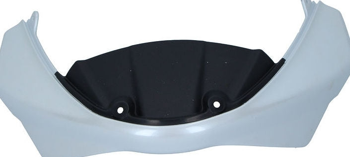 DUCATI純正 COWLING | 48110991AH