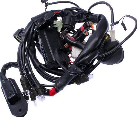 DUCATI純正 WIRING | 51011711A