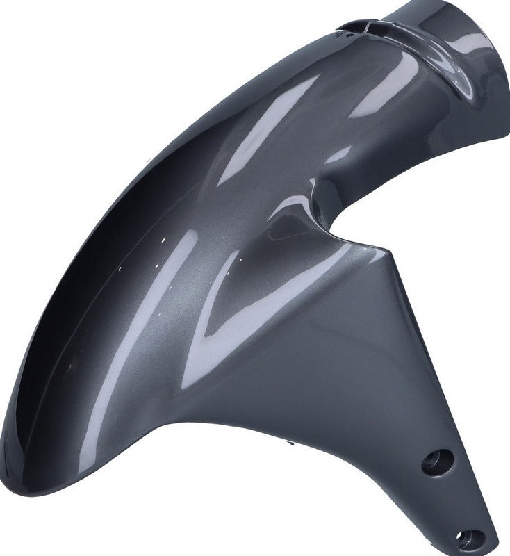 DUCATI純正 FRONT FENDER GRAY SENNA | 56410181AE