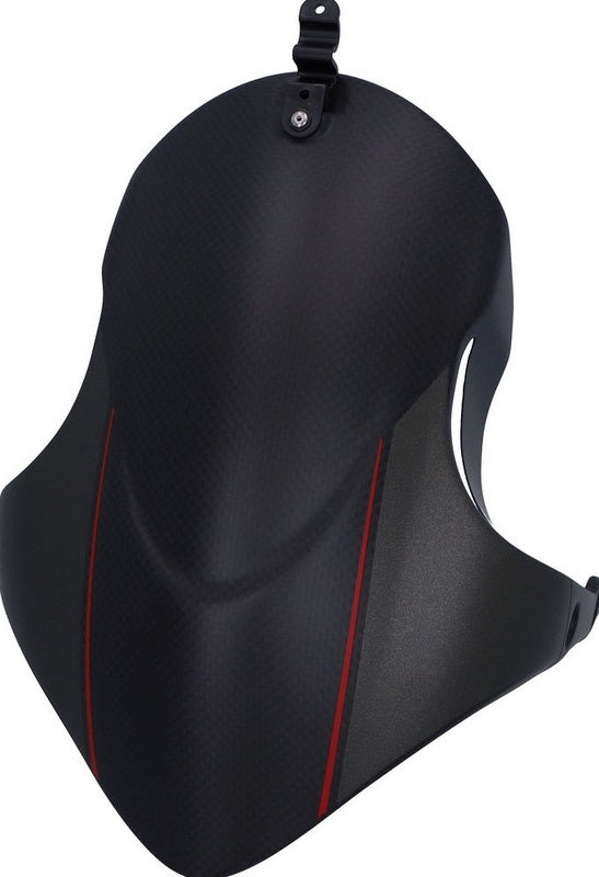 DUCATI純正 FRONT FENDER CARBON | 56420971AX