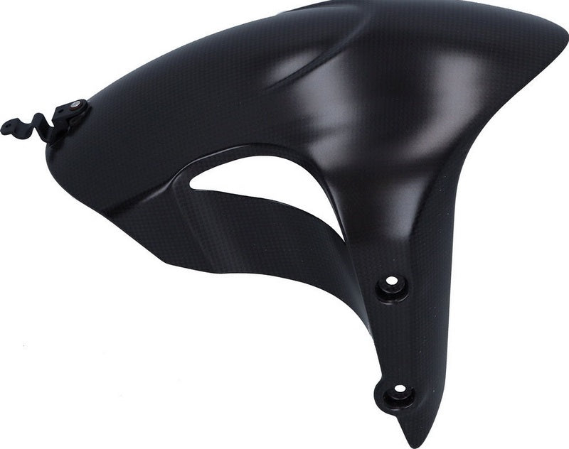 DUCATI純正 FRONT FENDER CARBON | 56420972AC