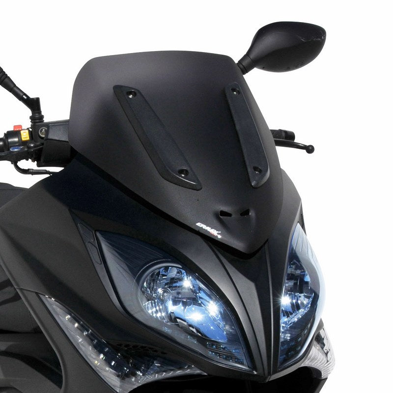 Ermax / アルマックス windshield sport (48 cm ) for X CITING 300 ir/500 RI 2008-2014 light black | 034103011