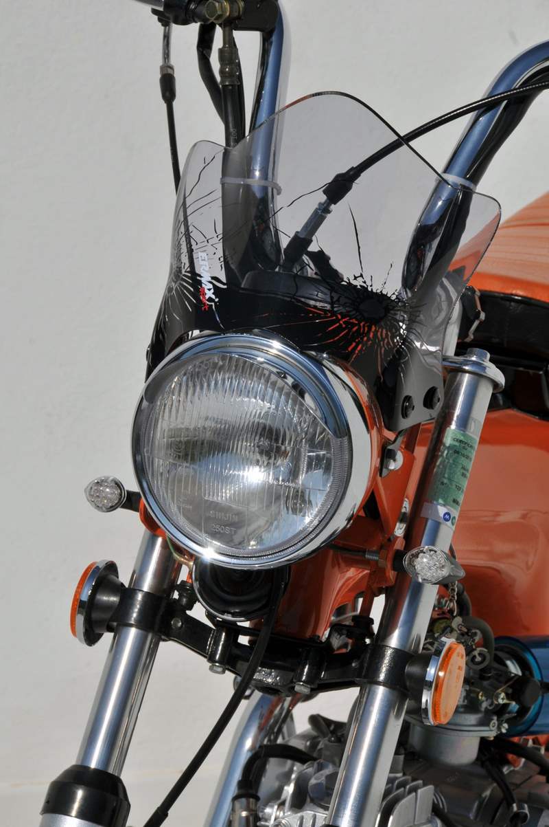 Ermax / アルマックス SV double bubble (+ kit fix ) for DAX newteam REPLICA ouge | 061606001