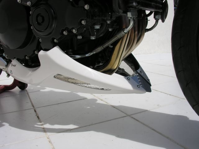 Ermax / アルマックス Belly Pan Ermax / アルマックス For Speed Triple 1050 2005-2007 | 892107020