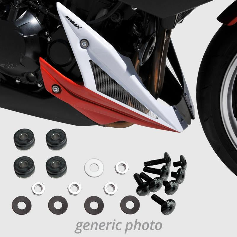 Ermax / アルマックス fixsm fitting kit for clog Ermax / アルマックス Z 1000 2014-2018 | 9003SM087