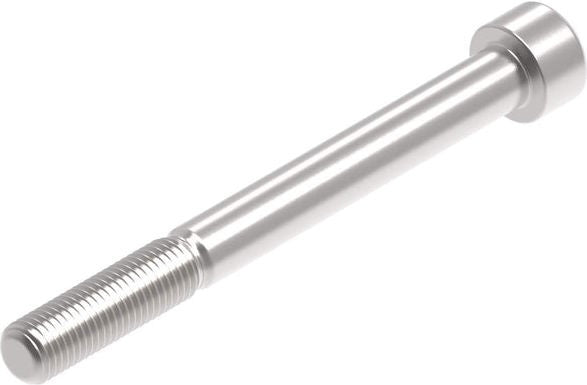 Evotech Performance Evotech Performance  EP M10 x 100 x 1.25mm Pitch Caphead - 316 S/S | PRN014298