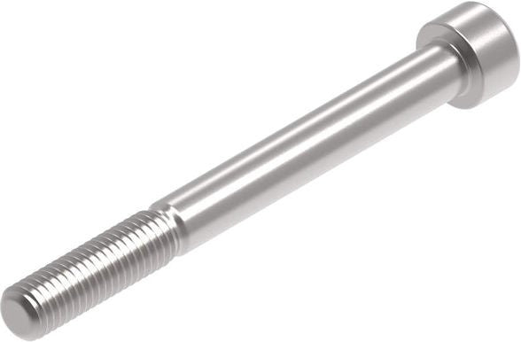 Evotech Performance Evotech Performance  EP M10 x 100 x 1.5mm Pitch Caphead - 316 S/S | PRN014342