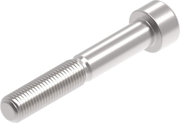 Evotech Performance Evotech Performance  EP M10 x 65 x 1.25mm Pitch Caphead - 316 S/S | PRN015349