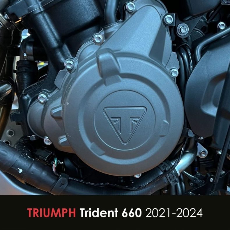 GBRacing / ジービーレーシング セカンダリー オルタネーターカバー Triumph デイトナ 660 2024 | EC-D660-2024-1-GBR