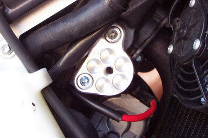 GSGモトテクニック クラッシュパッドセット Aprilia RSV 1000 Mille (2001-2003) mounting on carrier plate | 11549105-A7-DS