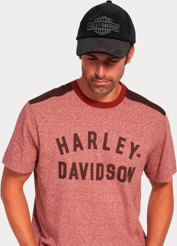 Harley-Davidson Tee-Knit  Colorblock-Design-Russet Brown | 96048-23VM