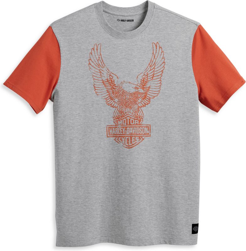Harley-Davidson Tee-Knit  Colorblock-Design-Gray | 96053-23VM