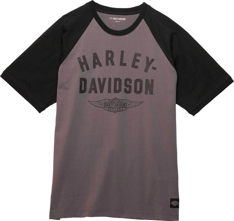Harley-Davidson Men'S Staple Winged Raglan  Colorblock-Design-Blackened Pearl | 96336-23VM