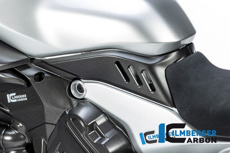 Ilmberger Carbon / イルムバーガー 左タンク下カバー Ducati Diavel V4 2023 年以降 マット | ATL.107.DI23M.K
