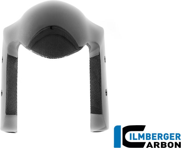 フロントフェンダーカーボングロス