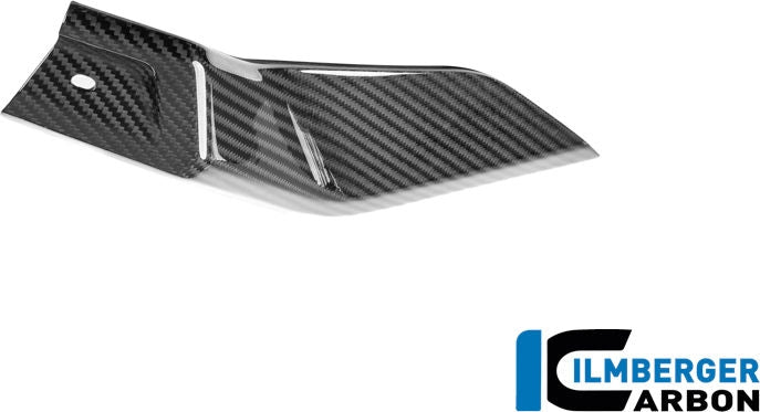 左下タンクカバー 光沢カーボン