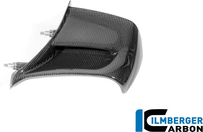 左ウイングレット カーボングロス