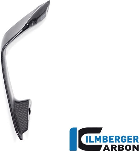 左側ウイングレット（光沢仕上げ）