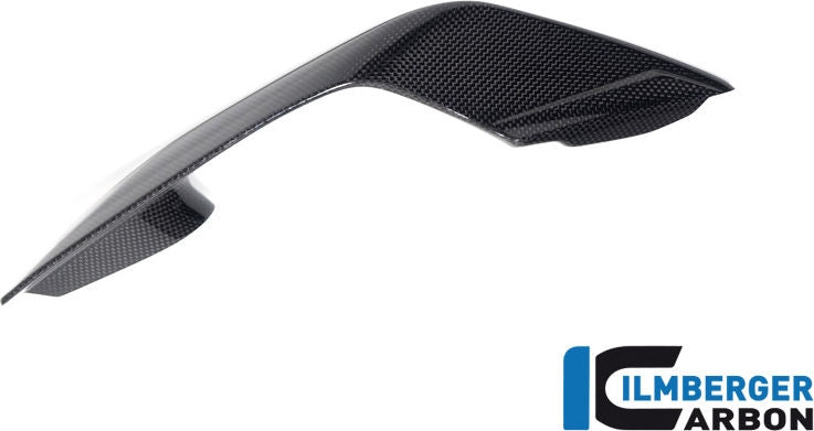 左側ウイングレット（光沢仕上げ）