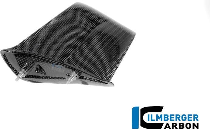 右ウィングレット グロスカーボン