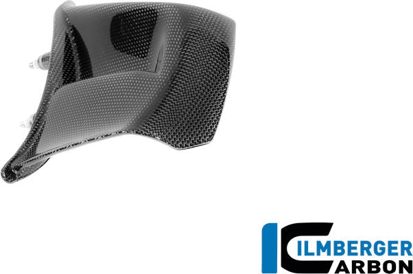 右ウィングレット グロスカーボン