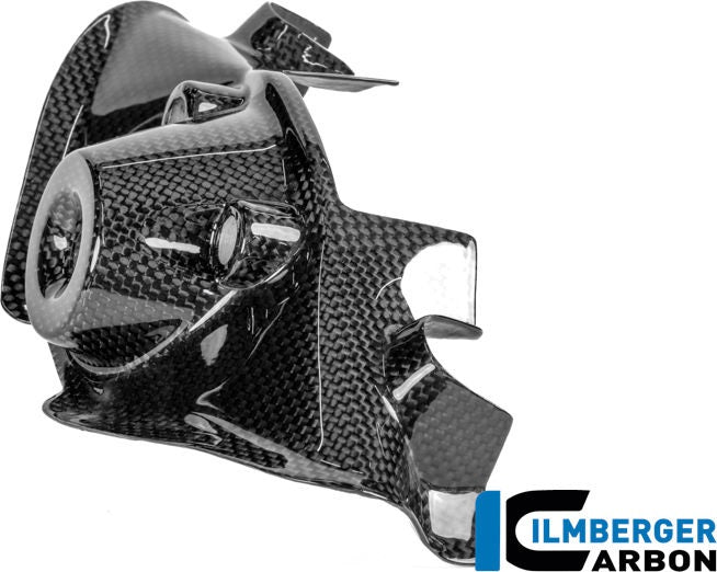 点火ロックカバー カーボングロス