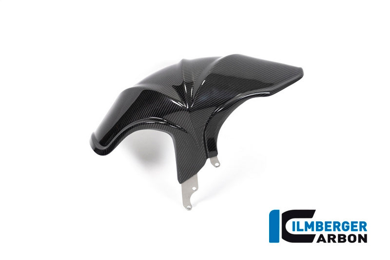 Ilmberger / イルムバーガーカーボンパーツ リアハガー BMW R 1250 R (LC) 2019 | KHO.006.R125R.K