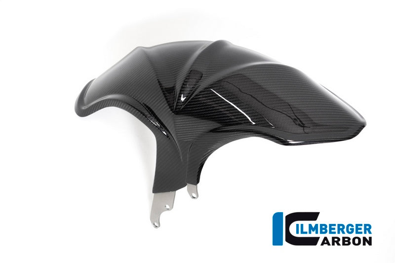 Ilmberger / イルムバーガーカーボンパーツ リアハガー BMW R 1250 R (LC) 2019 | KHO.006.R125R.K