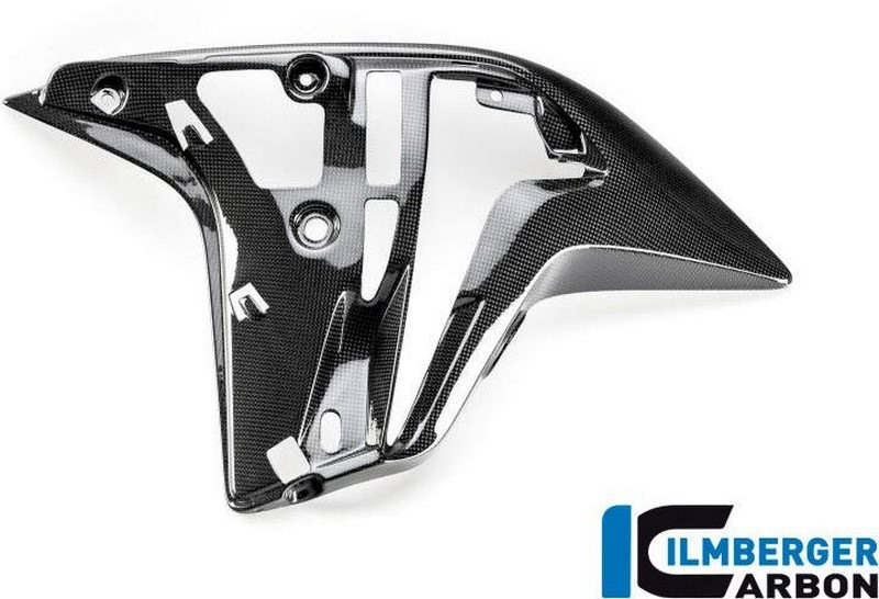 ILMBERGER / イルムバーガーカーボンパーツ エアーアウトレットフェアリング　サイドパネル左側用 (shiny) Ducati MTS 1200'15 - LAL.014.D15MG.K | 