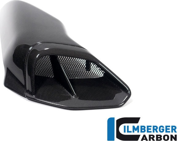 ILMBERGER / イルムバーガーカーボン 左 エアーチューブカバー Ducati ディアベル V4 2023- グロス | LKL.001.DI23G.K