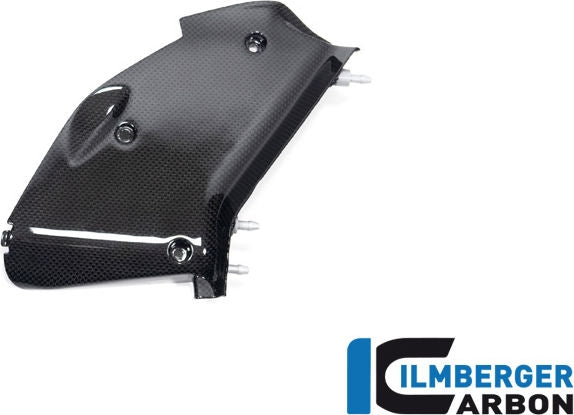ILMBERGER / イルムバーガーカーボン 右 エアーチューブカバー Ducati ディアベル V4 2023- グロス | LKR.002.DI23G.K
