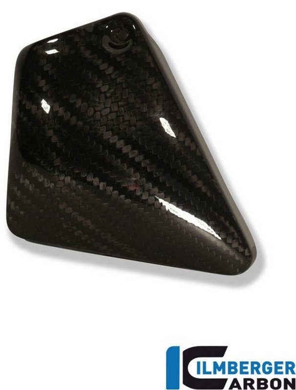 ILMBERGER / イルムバーガーカーボンパーツ フロントフレームカバー 左側 | RHL.003.HDVRG.K