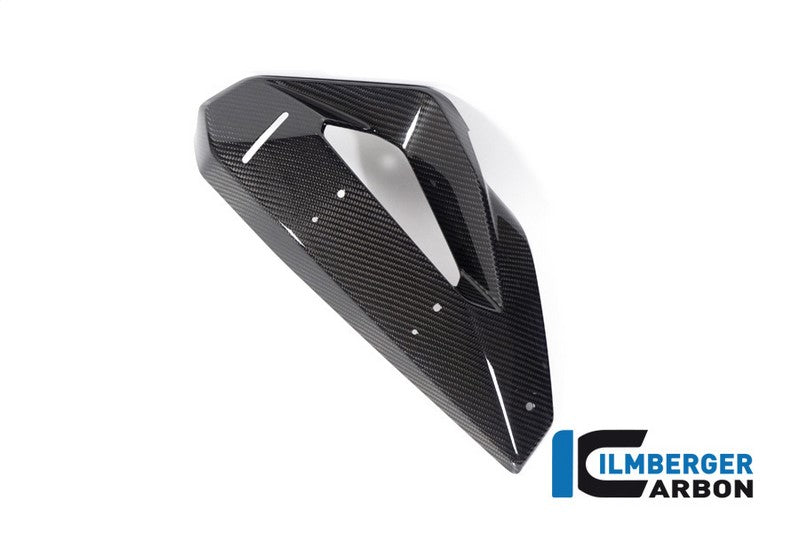 ILMBERGER ウォータークーラー・カバー（ウイングレット　ポジション） 左側 BMW M 1000 XR 2024 | SDL.009.MXR24.K