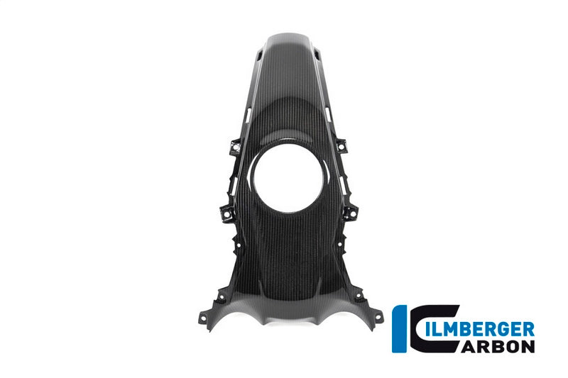 Ilmberger / イルムバーガーカーボンパーツ タンクセンターパネル BMW R 1250 R (LC) 2019 | TAO.008.R125R.K