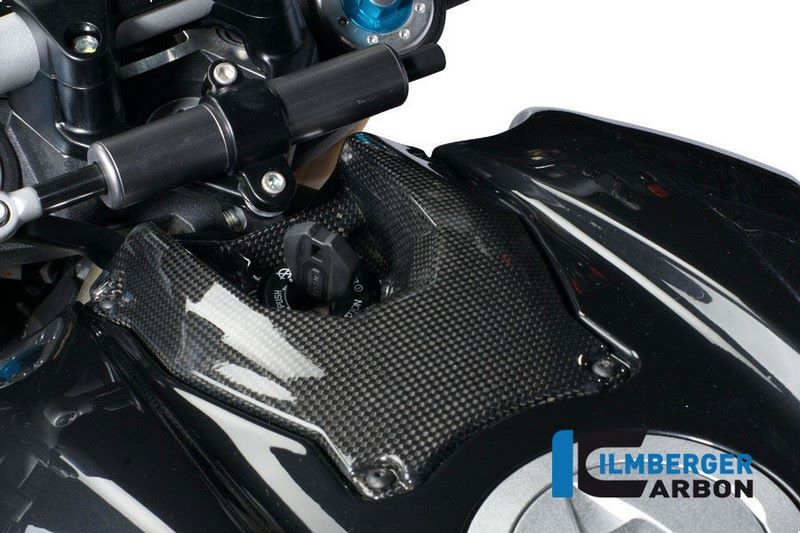 ILMBERGER / イルムバーガーカーボンパーツ イグニッションスイッチカバー | TDA.008.STRFI.K