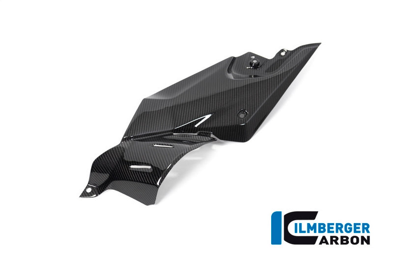 Ilmberger / イルムバーガーカーボンパーツ サイドパパネル (タンク) 左 BMW R 1250 R (LC) 2019 | TUL.012.R125R.K
