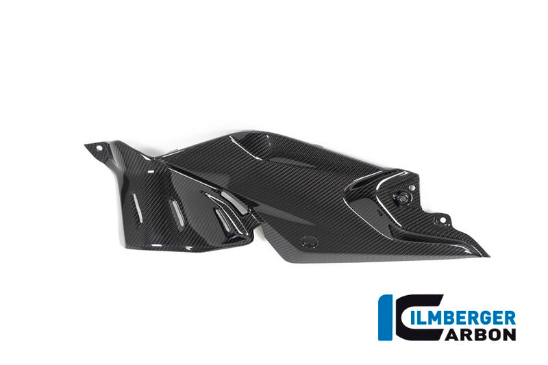 Ilmberger / イルムバーガーカーボンパーツ サイドパパネル (タンク) 左 BMW R 1250 R (LC) 2019 | TUL.012.R125R.K