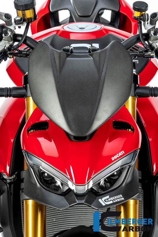 Ilmberger / イルムバーガー フロントフェアリング ロワーパート マット V4 Streetfighter | VEO.110.SFV4M.K
