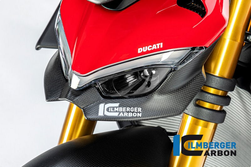 Ilmberger / イルムバーガー フロントフェアリング ロワーパート マット V4 Streetfighter | VEO.110.SFV4M.K