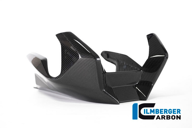 Ilmberger / イルムバーガーカーボンパーツ ベリーパン BMW R 1250 R (LC) 2019 | VEU.003.R125R.K