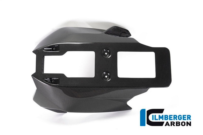 Ilmberger / イルムバーガーカーボンパーツ ベリーパン BMW R 1250 R (LC) 2019 | VEU.003.R125R.K