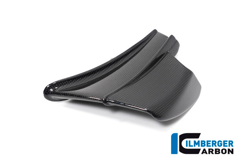 Ilmberger Carbon / イルムバーガー Winglet left gloss Panigale V4 R | VFL.065.DV4RG.K