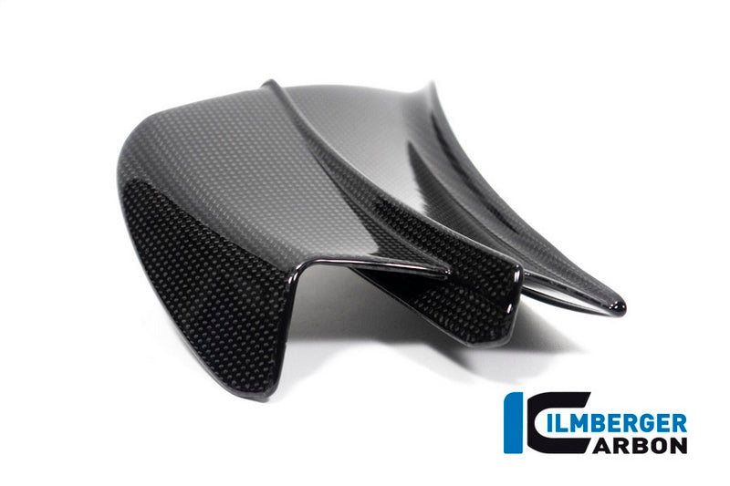 Ilmberger Carbon / イルムバーガー Winglet left gloss Panigale V4 R | VFL.065.DV4RG.K
