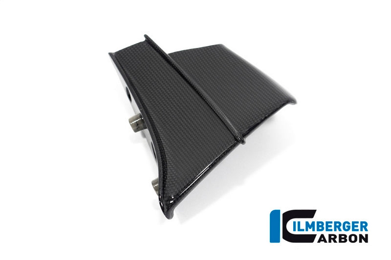 Ilmberger Carbon / イルムバーガー Winglet left gloss Panigale V4 R | VFL.065.DV4RG.K
