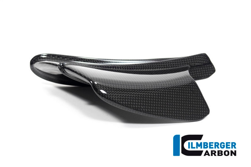 Ilmberger Carbon / イルムバーガー Winglet left gloss Panigale V4 R | VFL.065.DV4RG.K