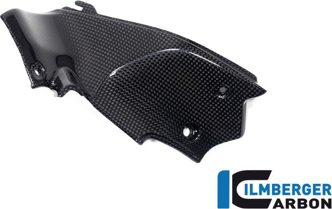 ILMBERGER / イルムバーガーカーボン エアチューブカバー 左 グロス Ducati ストリートファイター V2 | WAL.009.V2SFG.K