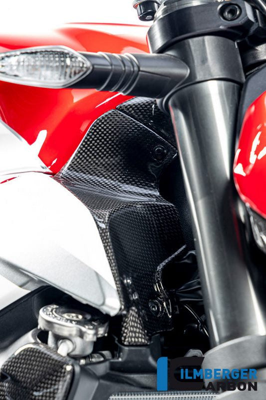 ILMBERGER / イルムバーガーカーボン エアチューブカバー 右 グロス Ducati ストリートファイター V2 | WAR.010.V2SFG.K