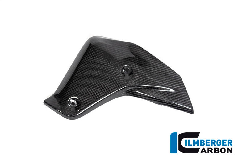 Ilmberger / イルムバーガーカーボンパーツ ウォータークーラーカバー 左 BMW R 1250 R (LC) 2019 | WKL.001.R125R.K
