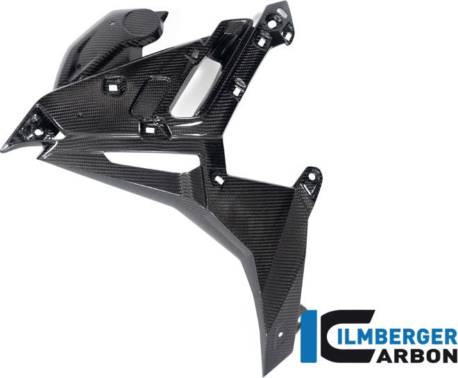 ILMBERGER / イルムバーガーカーボン ウォータークーラーカバー 左 BMW M 1000 R 2023- | WKL.003.M123N.K