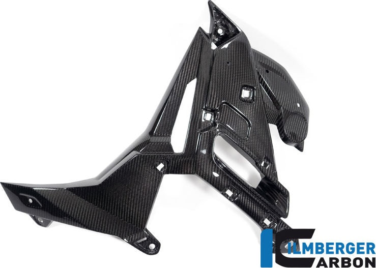 ILMBERGER / イルムバーガーカーボン ウォータークーラーカバー 左 BMW M 1000 R 2023- | WKL.003.M123N.K